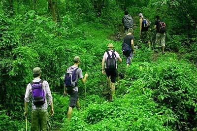 Knuckles Mountain Range Hiking | walklankatours.com